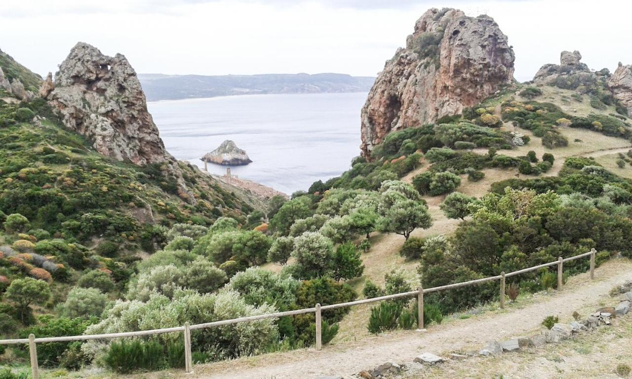 La Terrazza Fiorita Villa Nebida Eksteriør bilde