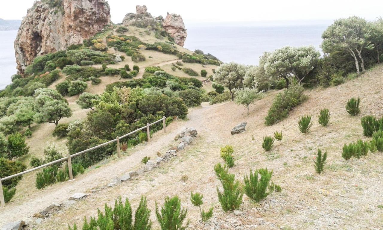 La Terrazza Fiorita Villa Nebida Eksteriør bilde